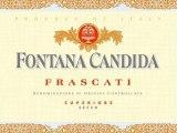 Fontana Candida - Frascati Superiore 2024 (1.5L) (1.5L)