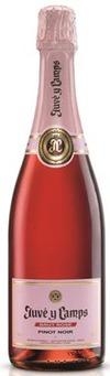 Juve y Camps - Brut Ros� Cava NV